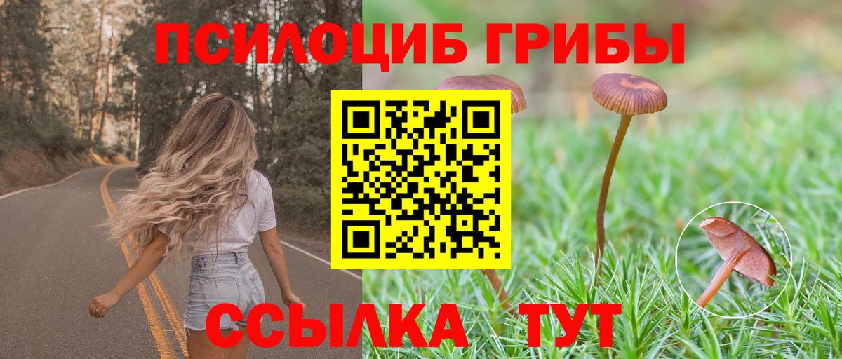 Ярцево  Псилоцибиновые грибы прущие грибы  Вход с VPN 